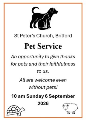 Picture: /imgresize/w288/images/pet-service.jpg