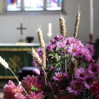 Harvest Festival Flowers