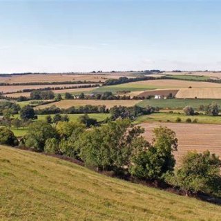 Chalke Valley Landscape
